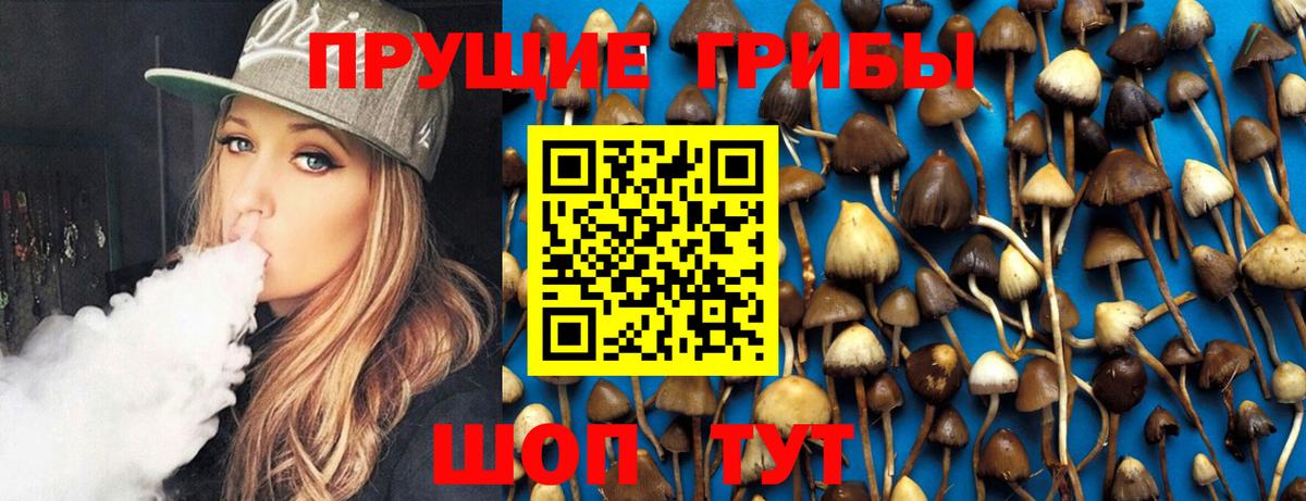 Псилоцибиновые грибы GOLDEN TEACHER  Галлюциногенные грибы GOLDEN TEACHER  Вход с VPN  Отрадный 