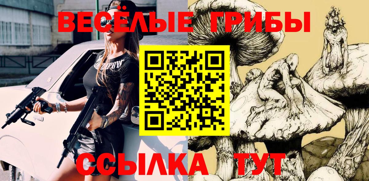 Псилоцибиновые грибы Cubensis Отрадный
